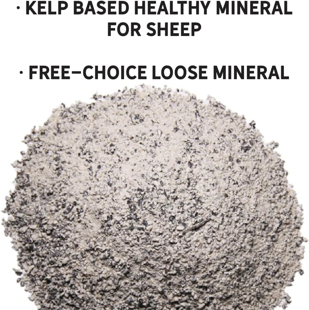new-country-organics-healthy-sheep-kelp--3.jpg