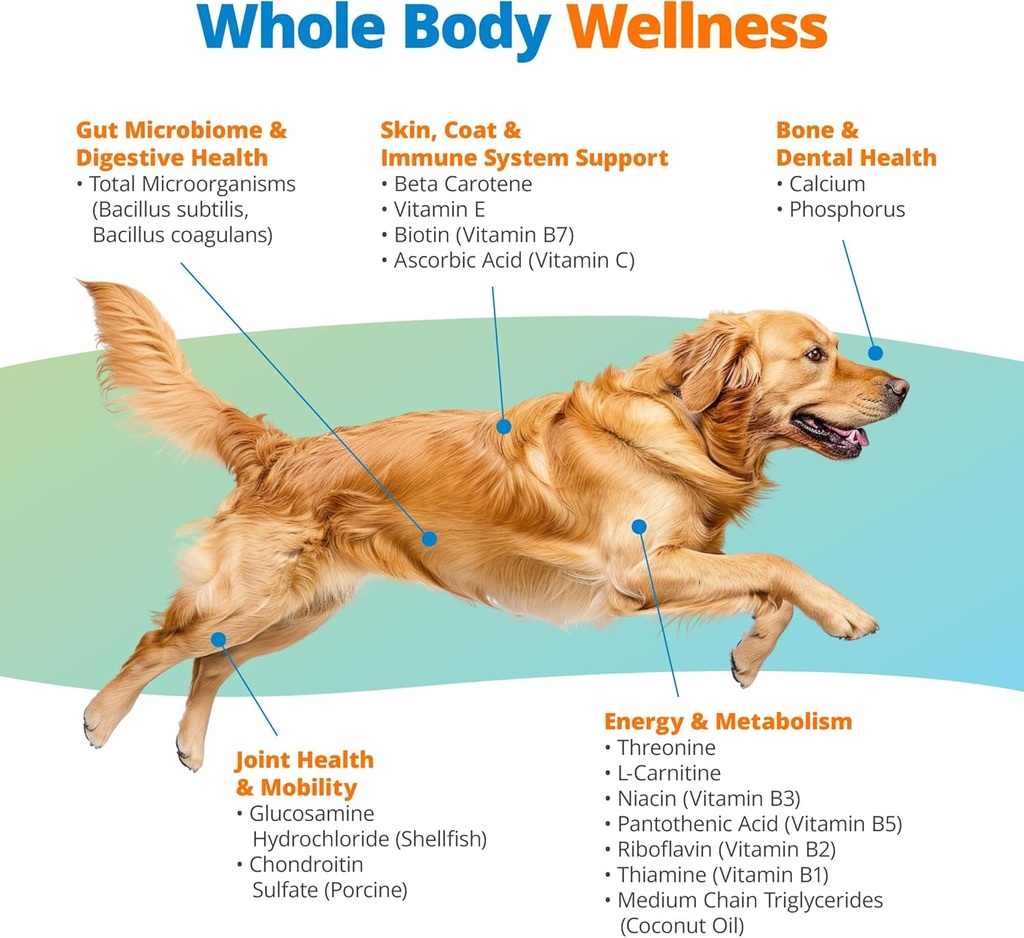5strands-dog-multivitamin-chews-10-in-1--2.jpg