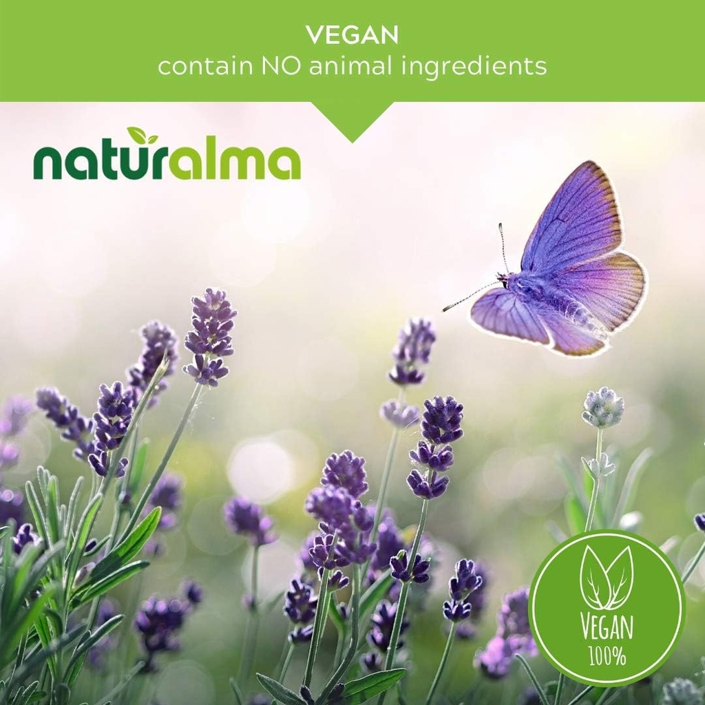 naturalma-ribwort-plantain-or-narrowleaf-3.jpg