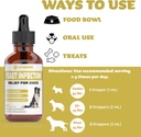 natural-yeast-infection-treatment-for-do-6.jpg