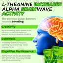 80mg-caffeine-160mg-l-theanine-focus-enh-5.jpg
