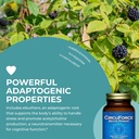 healthforce-superfoods-circuforce-brain--5.jpg