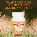 snap-dynasty-aller-snap---60ct-capsules--6.jpg