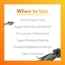in-clover-dog-skin-and-coat-supplement-b-5.jpg