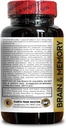 brain-memory-support---mental-resilience-4.jpg