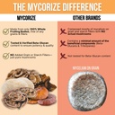 rize-5-mushroom-supplement---lions-mane--5.jpg