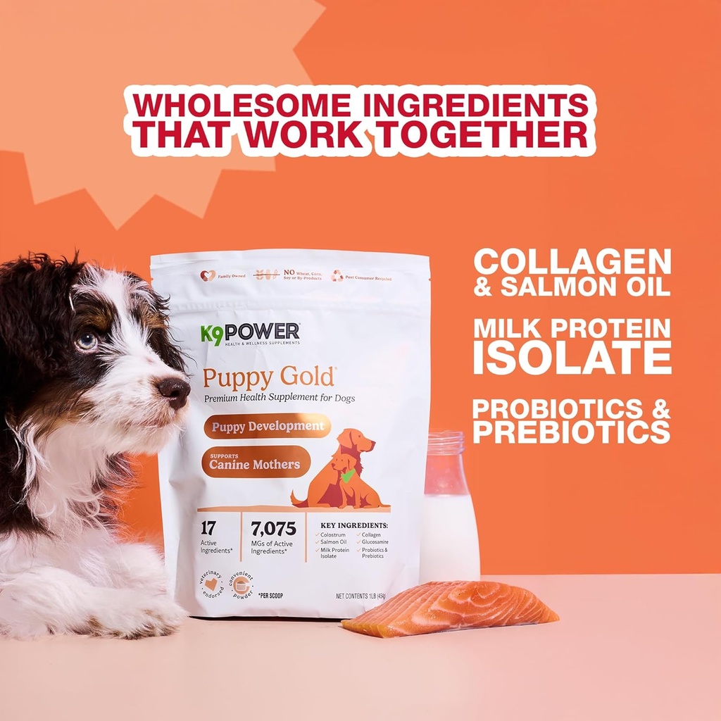 k9-power-puppy-gold-1-lb---supplement-fo-6.jpg