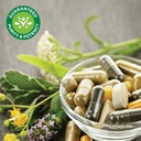 swanson-kidney-glandular-500-mg-60-caps--4.jpg