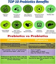 nova-probiotics-multi-strain-progressive-6.jpg