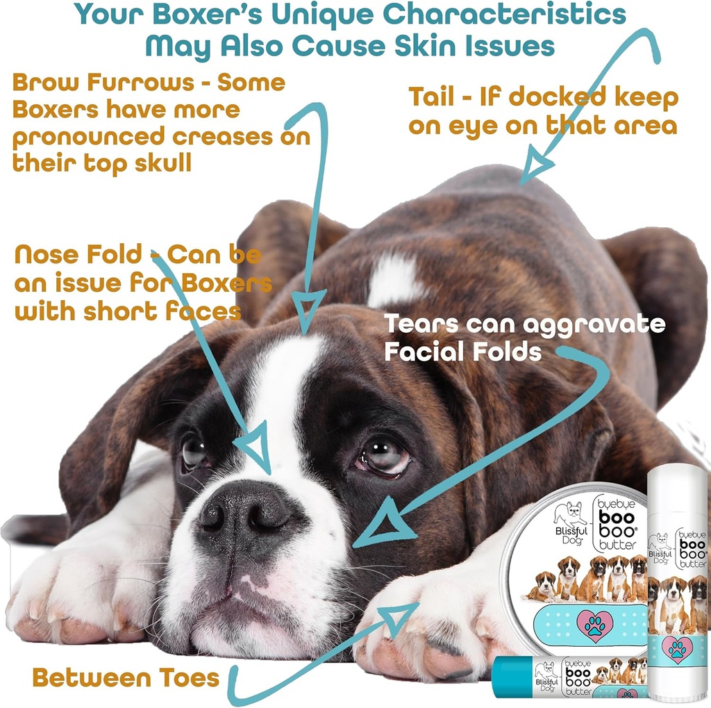 the-blissful-dog-1-oz-tin-boxer-booboo-b-6.jpg