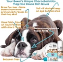 the-blissful-dog-1-oz-tin-boxer-booboo-b-6.jpg