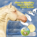 the-blissful-horses-summer-care-sun-butt-5.jpg