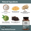 peak-workout-formula---refuel-motivation-3.jpg