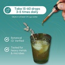 echinacea-root-tincture---immune-system--5.jpg