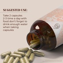 bugleweed-120-capsules-high-potency-herb-2.jpg