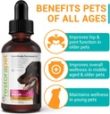 restorapet-1-pack-dog-cat-bacon-liquid-m-2.jpg