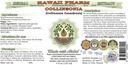 collinsonia-alcohol-free-liquid-extract--2.jpg