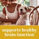 everroot-dog-supplements-powered-by-puri-4.jpg