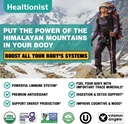 2-packs-1000-mg-shilajit-supplement-gumm-5.jpg