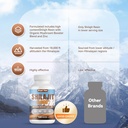 shilajit-himalayan-capsules---pure-himal-6.jpg