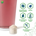 nutra-biogenesis-focus-fizz---gaba-l-the-4.jpg