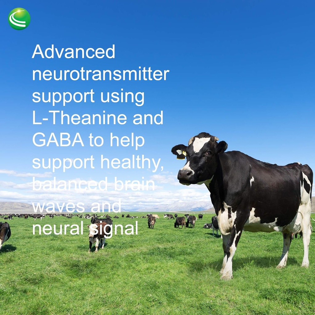 nutra-biogenesis-focus-fizz---gaba-l-the-6.jpg