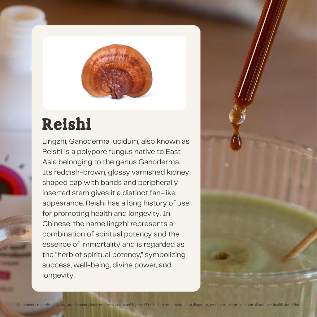rainbo---reishi-mushroom-tincture---alco-2.jpg