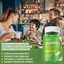 2 Pack Irish Sea Moss Gummies with Elderberry, Bladderwrack, Burdock, Chlorophyll - Digestion, Skin, Hair and Enhance Immunity - Adults Kids Women Men, 120 Blueberry Flavored Gummies 6
