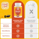 2000 MG NAD Supplement, Liposomal NAD+ with High Absorption, More Efficient Than Nicotinamide Riboside, Pure & Plus Boosting Supplement, Aging Defense, Metabolism & Cellular, 240 softgels 6