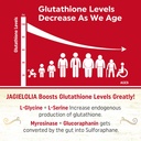 Liposomal Glutathione 2000 mg with L-Serine, L-Glycine & Sulforaphane – Active L-Glutathione Unique Formulation to Enhance Absorption - Master Antioxidant, Detoxifying & Immune | 240 Softgels 4