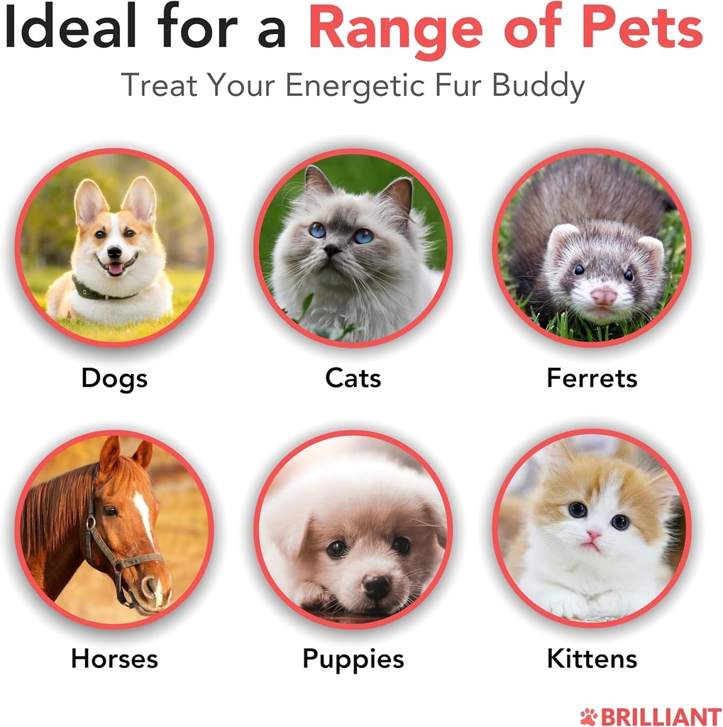 brilliant-salmon-oil-for-dogs-cats-puppi-4.jpg