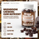 Mushroom Gummies 10 Blend - Mushroom Complex All-in-One Daily Mushroom Supplement Gummy with Chaga, Lions Mane, Reishi, Cordyceps - 90 Gummies 3