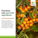 Terry Naturally Omega-7 - Dietary Supplement with Essential Fatty Acids - Nutritional Supplement to Support Skin Health with Sea Buckthorn, Berry Pulp & Seed Oil - 60 Softgels (Pack of 2) 6