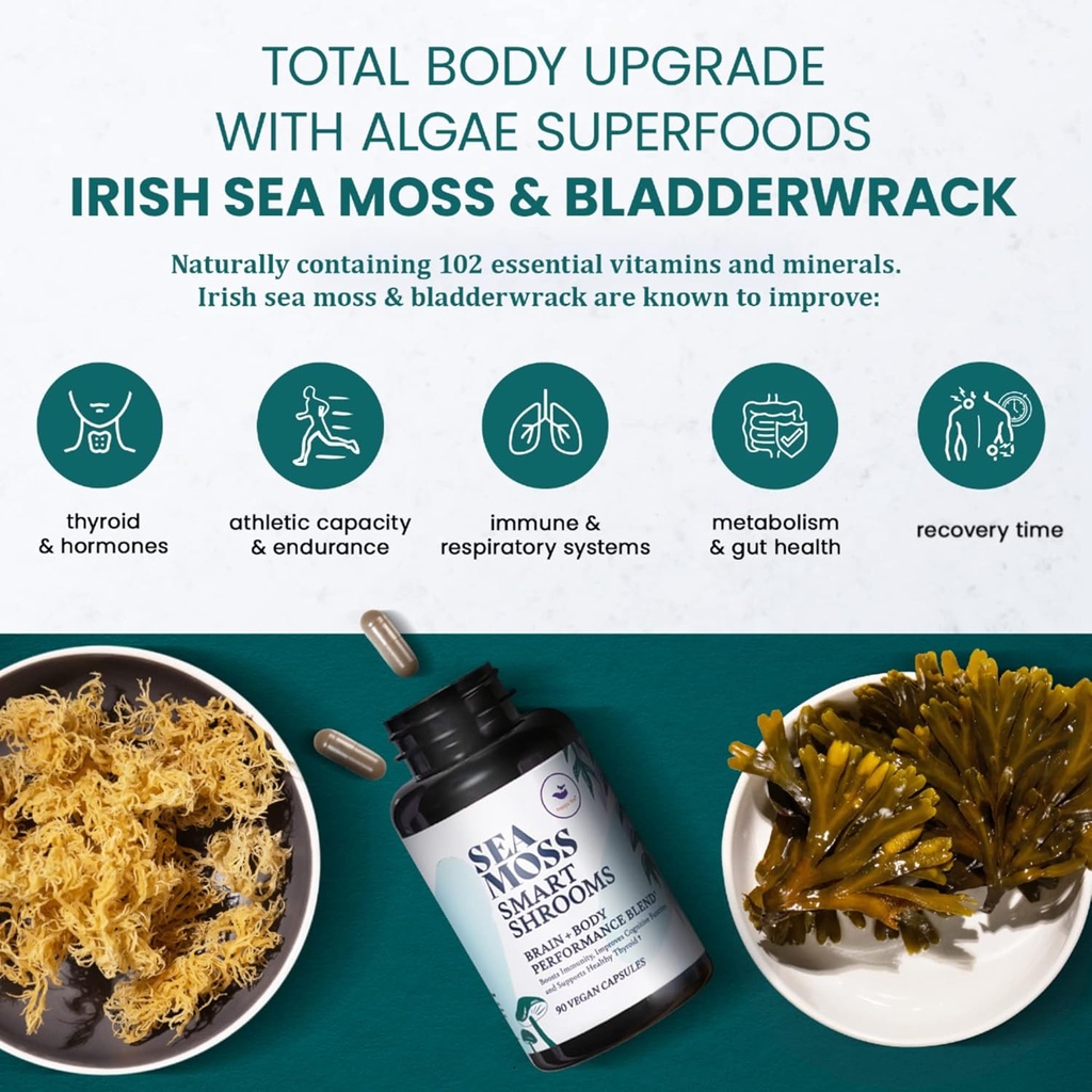 HAPPY FOX Brain & Body Convenience Capsules Bundle - Organic Sea Moss Gel & Smart Shrooms Capsules - Irish Sea Moss & Mushroom Complex, Nootropic Brain Supplements for Memory & Focus 4