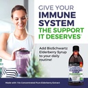 Elderberry Syrup for Kids and Adults - Natural Immune Support with Zinc and Vitamin C Plus 10x Concentrated Sambucus Elderberries - Blueberry Pancake Flavor - Gluten-Free, Non-GMO Multiminerals - 8oz 3