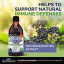 Elderberry Syrup for Kids and Adults - Natural Immune Support with Zinc and Vitamin C Plus 10x Concentrated Sambucus Elderberries - Blueberry Pancake Flavor - Gluten-Free, Non-GMO Multiminerals - 8oz 6