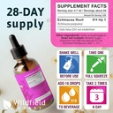 Liquid Echinacea Extract - Echinacea Root Drops Tincture 2440mg (Echinacea purpurea) Herbal Supplement Absorbs Better Than Capsules, 1 Month Supply, 84 Servings, Alcohol-Free - 2 Oz, Pack of 1 3