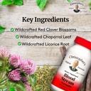 Christopher's Original Formulas Blood Stream Formula - Blood Circulation Supplements - Supports Vein Elasticity, Clean & Pure Bloodstream 5