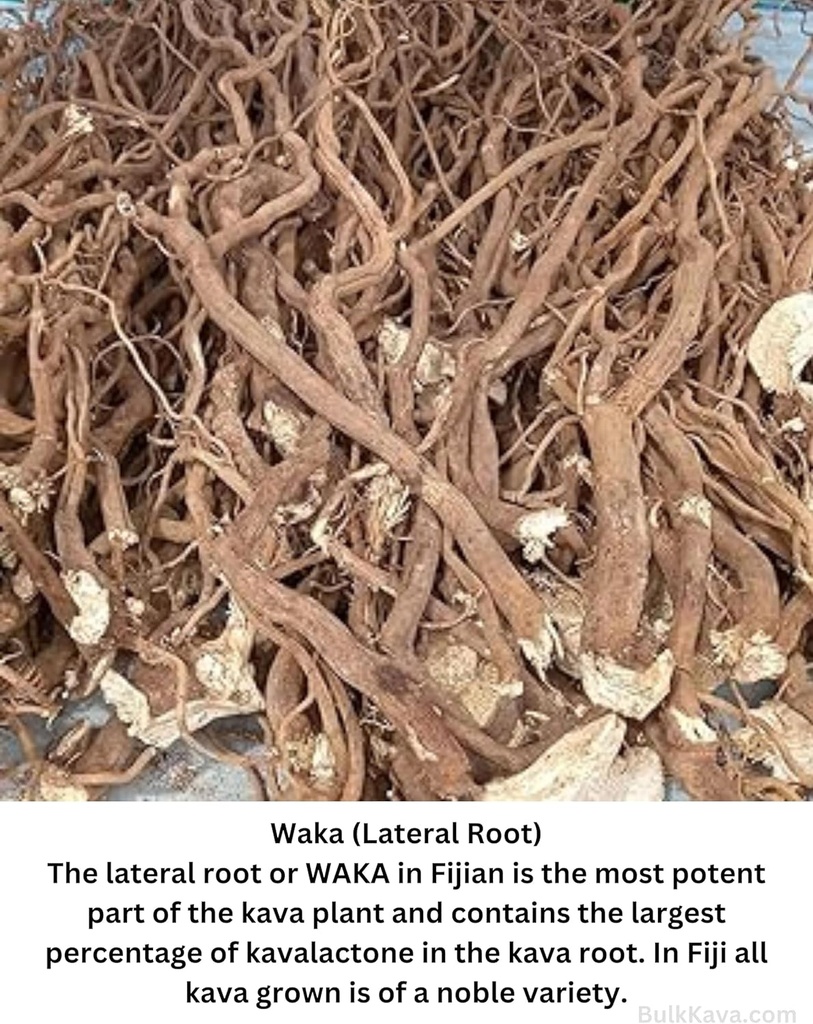 FIJI'S #1 AAA Grade Waka Kava Root Powder - 1 LB | 100% Noble Kava Powder | Made from Pure Fijian Kava Kava Roots | Fiji'sKava.com 4