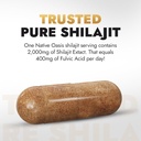 Shilajit Supplement | 2,000mg | Shilajit for Men & Women | Shilajit Pure Himalayan Organic | Natural Shilajit Capsules | Fulvic Acid Supplement | Rich with Trace Minerals | 120 Count. 3