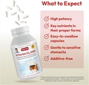 ANDREW LESSMAN Vitamin D3 5000 IU 60 Capsules - High Potency, Essential for Calcium Absorption, Supports Bone Health, Healthy Muscle Function, Immune System, More. Small Easy to Swallow Capsules 5