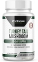 Probase Nutrition Premium Turkey Tail Mushroom Capsules Turkey Tail Supplement with Real Mushroom Extract Coriolus Versicolor 4 Month Supply 120 Capsules 2