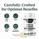 Probase Nutrition Premium Turkey Tail Mushroom Capsules Turkey Tail Supplement with Real Mushroom Extract Coriolus Versicolor 4 Month Supply 120 Capsules 6