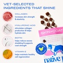 Native Pet Omega Skin and Coat Chews for Dogs - Dog Skin and Coat Supplement for Healthy, Shiny Fur, Reduce Shedding and Dry Spots - Made with Omega 3 Fish Oil and Wild-Caught Salmon Oil - 60 Chews 5