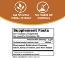 VH Nutrition Mushroom Supplement | Mushroom Complex for Vitality Support* 1400mg | Adaptagen Formula Includes: Lions Mane, Chaga, Reishi, Extracts | 60 Capsules 6