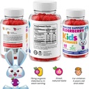 DR. MORITZ Elderberry Gummies for Kids & Toddlers - Immune System Booster- Health Support with Black Sambucus Elderberries Extract - Herbal Immunity Boost Supplement 3
