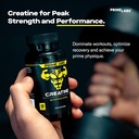 Prime Labs Prime Test (2-Pack) + Creatine Capsules (120 ct) 4