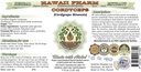 Cordyceps Alcohol-Free Liquid Extract, Cordyceps (Cordyceps Sinensis) Mushroom Glycerite Hawaii Pharm Natural Herbal Supplement 2x4 oz 3