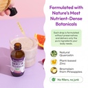 Quercetin with Bromelain & Zinc (5mg) Liquid Drops – Immune Support for Adults & Kids – Ultra-Concentrated Bioflavonoids – Immune Defense – Cellular Health – Vegan, Non-GMO, Gluten Free – 2 Fl Oz 6