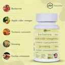 Ceylon Cinnamon Ginseng Berberine Turmeric Apple Cider Vinegar Chromium Zinc N-Acetyl Cysteine Milk Thistle Cayenne Banaba Fenugreek Gymnema Sylvestre 20 in 1 Made in The USA - 90 Capsules 6